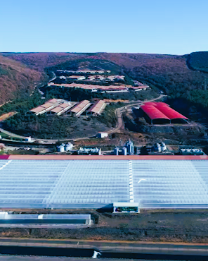 Vista aérea de invernaderos e instalaciones industriales