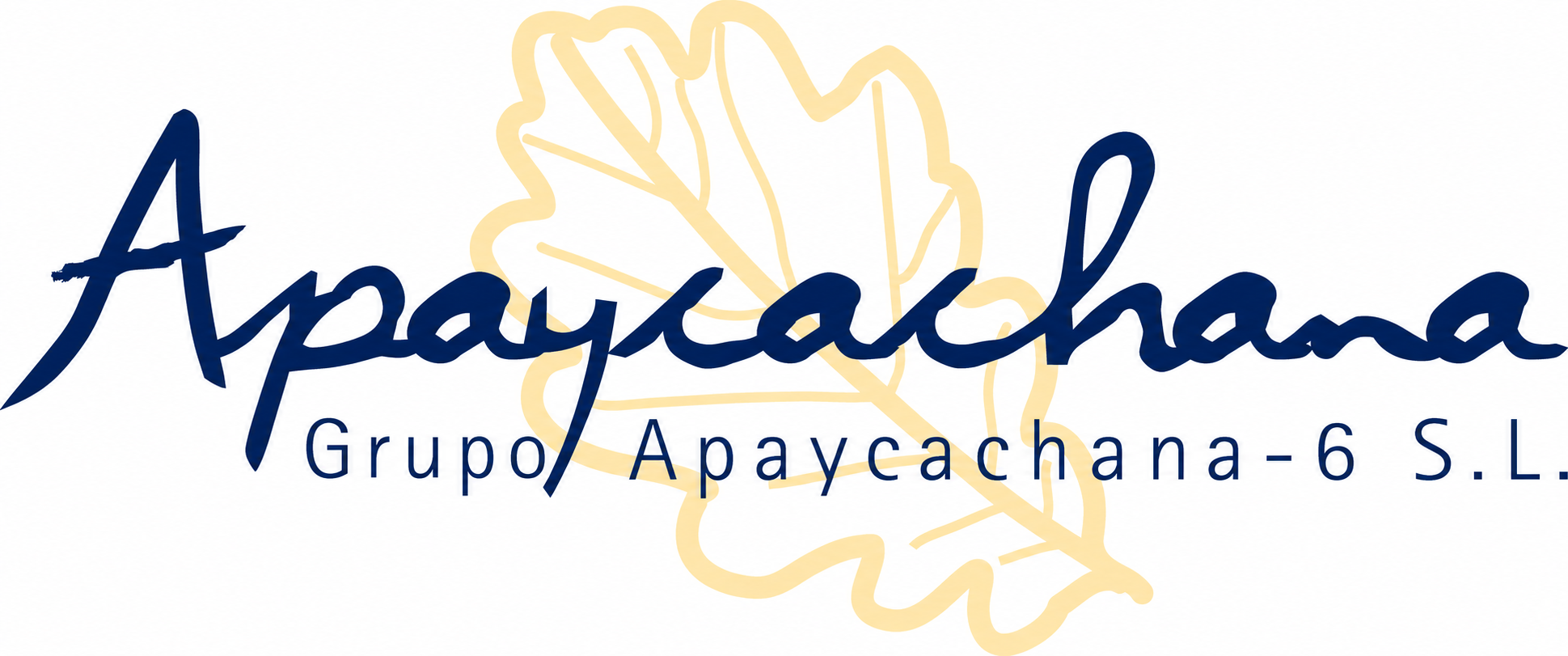 Grupo Apaycachana-6 S.L.