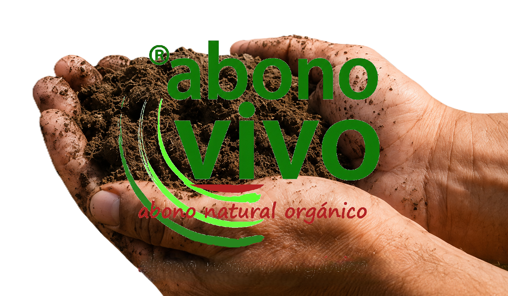 Manos sosteniendo tierra fértil
